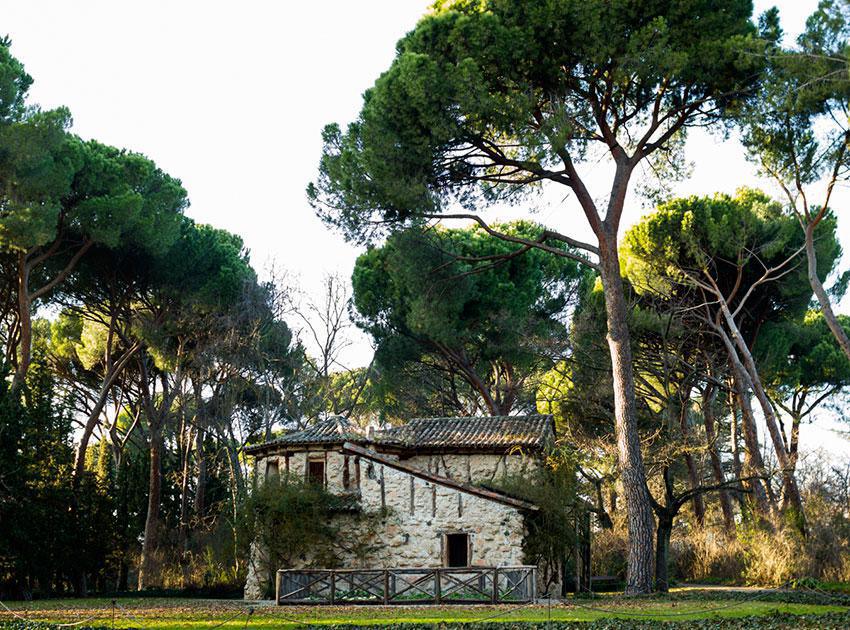 Parque El Capricho